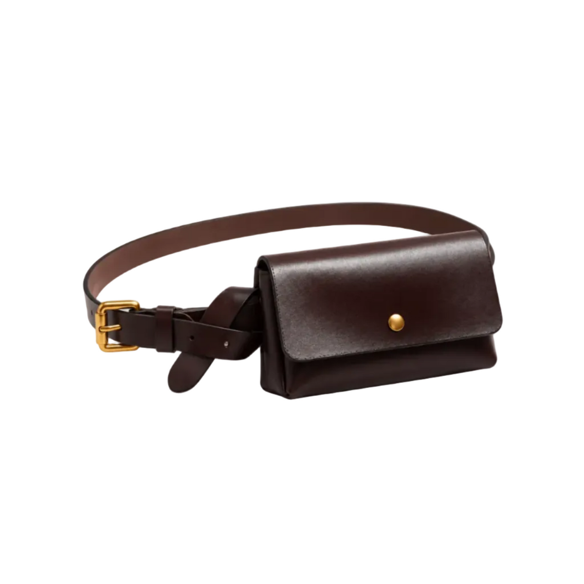 Chocolate Brown Gold Buckle Belt Bag