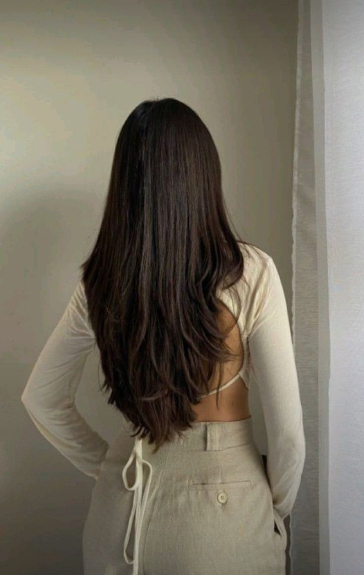 Straight Clip in Hair Extensions Human Hair